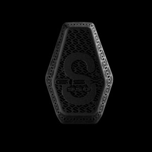 RR PAD Visuel_Suzuki-gsxS950